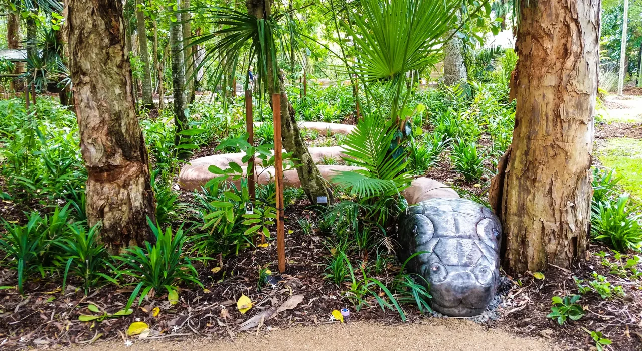 4e37782d-91fd-4fd6-8c01-663dcfd4a416_rw_1920